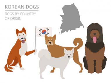 Ülke-in başlangıç köpekler. Kore köpek ırkları. Infographic templa