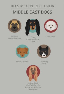 Ülke-in başlangıç köpekler. Yakın: Doğu köpek ırkları, Farsça köpekler. Ben