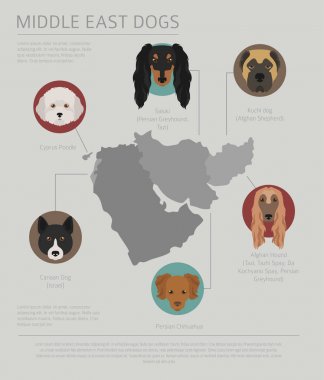 Ülke-in başlangıç köpekler. Yakın: Doğu köpek ırkları, Farsça köpekler. Ben