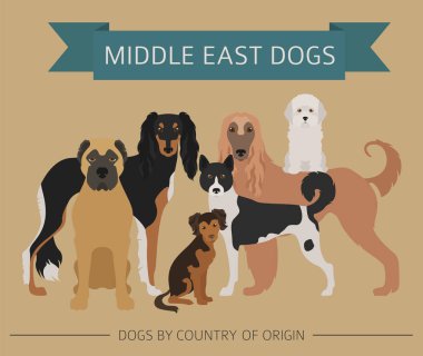 Ülke-in başlangıç köpekler. Yakın: Doğu köpek ırkları, Farsça köpekler. Ben