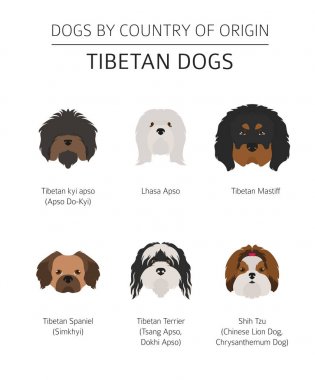 Ülke-in başlangıç köpekler. Tibet köpek doğurmak, Çin dağ 