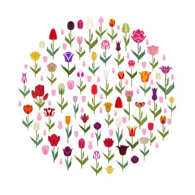 Lale Çeşitleri Düz Icon set. Ev ve Bahçe çiçek bitkiler