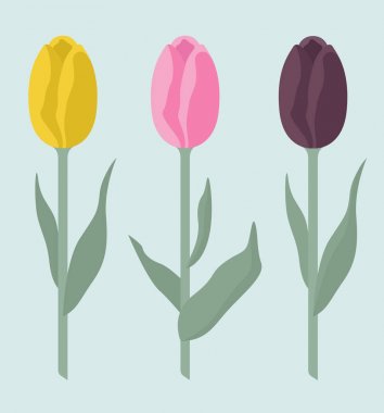 Tulip varieties flat icon set. Garden flower and house plants in clipart