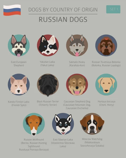 Собаки по странам происхождения. Русские породы собак. Инфографический темпль — стоковый вектор
