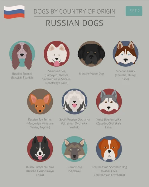 Cani per paese di origine. Razze di cani russi. Templ infografica — Vettoriale Stock