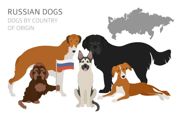 Dogs by country of origin. Russian dog breeds. Infographic templ — Stock Vector