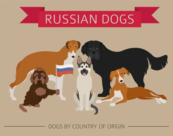 Cani per paese di origine. Razze di cani russi. Templ infografica — Vettoriale Stock