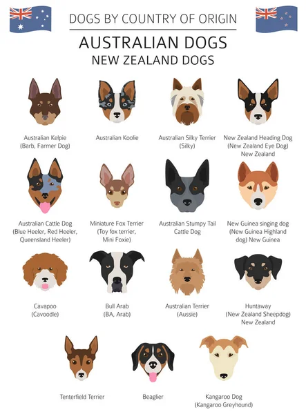 Perros por país de origen. Razas de perros australianos, Nueva Zelanda hacer — Vector de stock