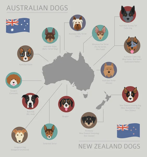 Dogs by country of origin. Australian dog breeds, New Zealand do — Stock Vector