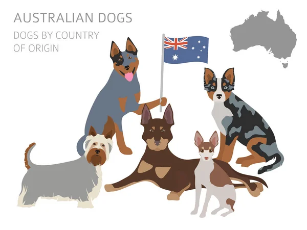 Hundar efter ursprungsland. Australiska hundraser, Nya Zeeland göra — Stock vektor