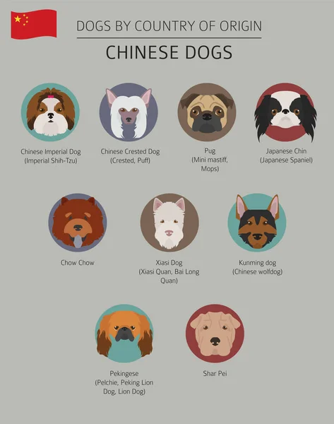 Σκυλιά ανά χώρα καταγωγής. Κινέζικα dog φυλών. Γράφημα templ — Διανυσματικό Αρχείο