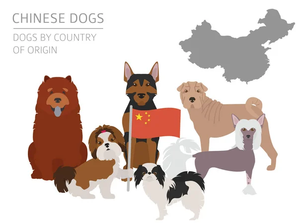 Σκυλιά ανά χώρα καταγωγής. Κινέζικα dog φυλών. Γράφημα templ — Διανυσματικό Αρχείο