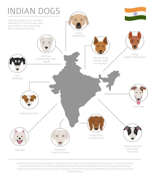 Cães por país de origem. Raças de cães indianos. Templa infográfico — Vetor de Stock
