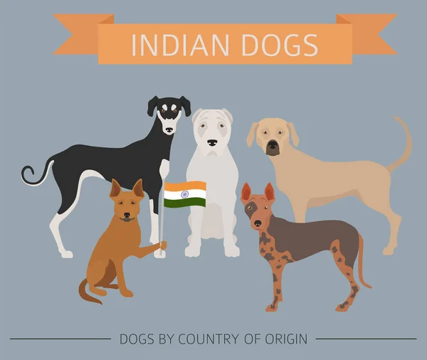 Cani per paese di origine. Razze di cani indiani. Templa infografica — Vettoriale Stock