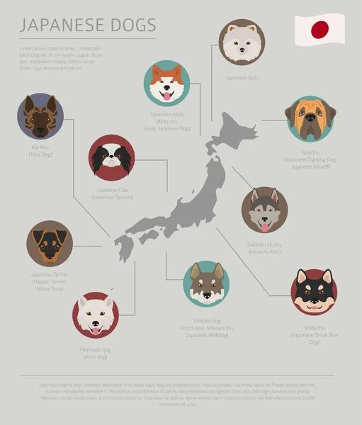 Perros por país de origen. Razas de perros japoneses. Temperatura de la infografía — Archivo Imágenes Vectoriales