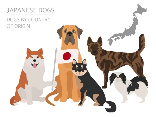 Hunde nach Herkunftsland. japanische Hunderassen. Infografik-Temp — Stockvektor