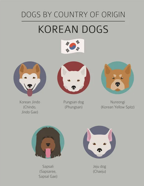 Hundar efter ursprungsland. Koreanska hundraser. Infographic templa — Stock vektor