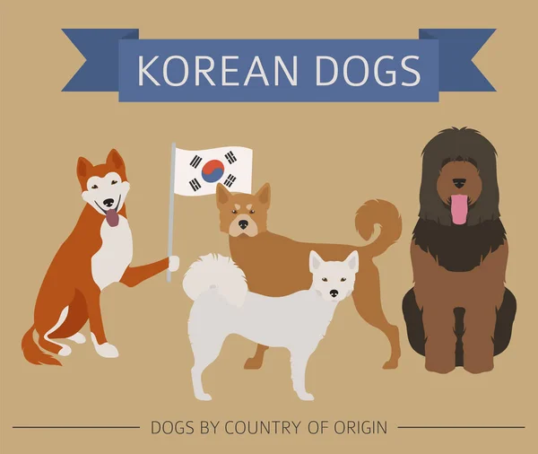 Perros por país de origen. Razas de perros coreanos. Infografía templa — Archivo Imágenes Vectoriales
