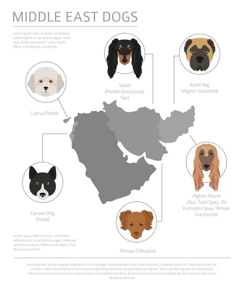 Ülke-in başlangıç köpekler. Yakın: Doğu köpek ırkları, Farsça köpekler. Ben — Stok Vektör