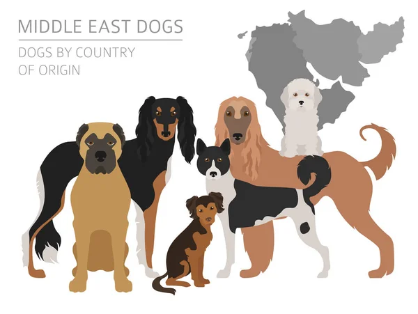 Chiens par pays d'origine. Proche-Orient races de chiens, chiens persans. I — Image vectorielle