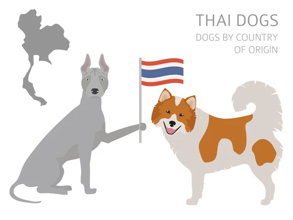 Perros por país de origen. Razas de perros tailandeses. Plantilla infográfica — Archivo Imágenes Vectoriales