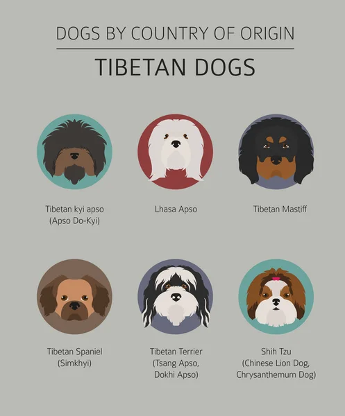 Perros por país de origen. Razas de perros tibetanos, montaña china — Archivo Imágenes Vectoriales