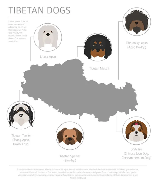 Hunde nach Herkunftsland. Tibetische Hunderassen, chinesischer Berg — Stockvektor