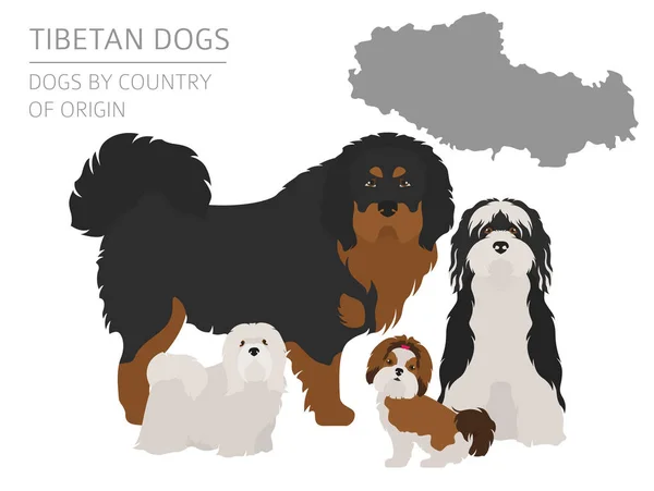 Dogs by country of origin. Tibetan dog breeds, chinese mountain — Stock Vector