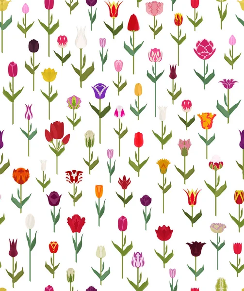 Variétés de tulipes plat motif sans couture. Jardin fleur et maison p — Image vectorielle