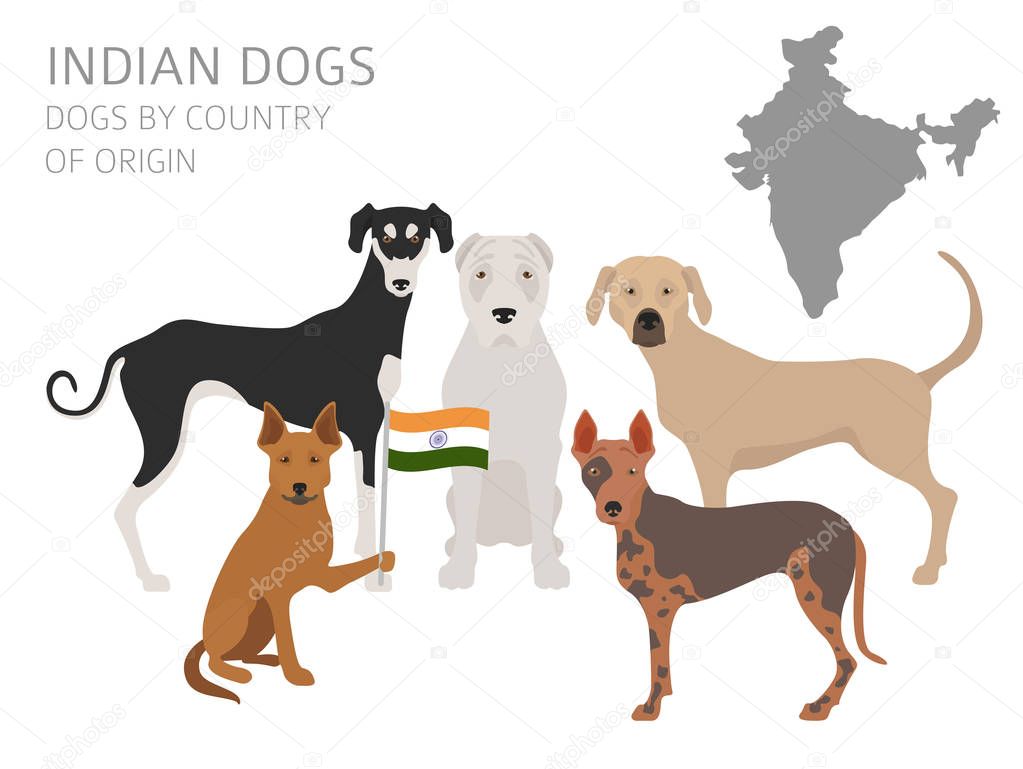 Dogs by country of origin. Indian dog breeds. Infographic templa