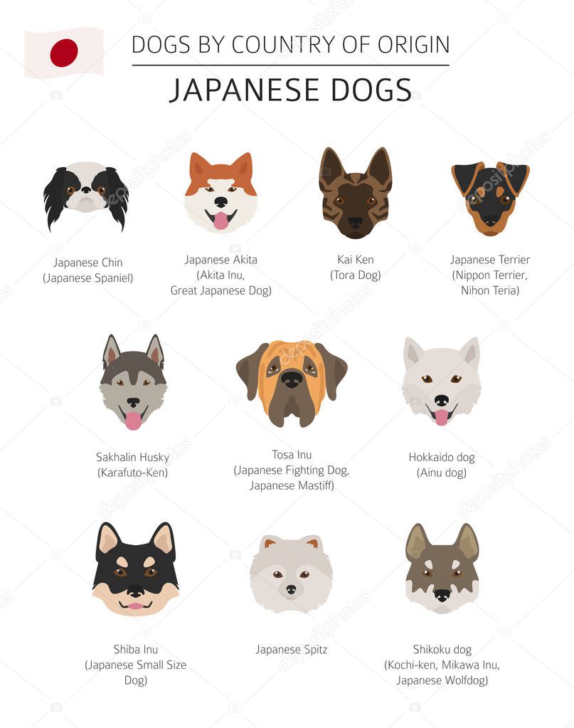 Dogs by country of origin. Japanese dog breeds. Infographic temp