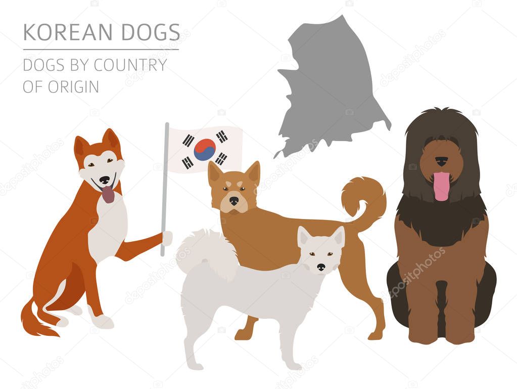 Dogs by country of origin. Korean dog breeds. Infographic templa