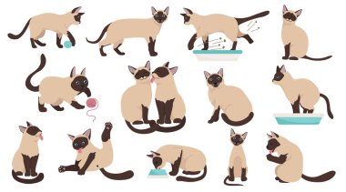 Çizgi film kedi karakterleri koleksiyonu. Farklı kedi pozları, yoga...