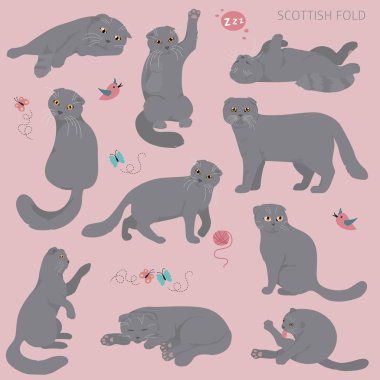 Çizgi film kedi karakterleri koleksiyonu. İskoç pozları ve emo
