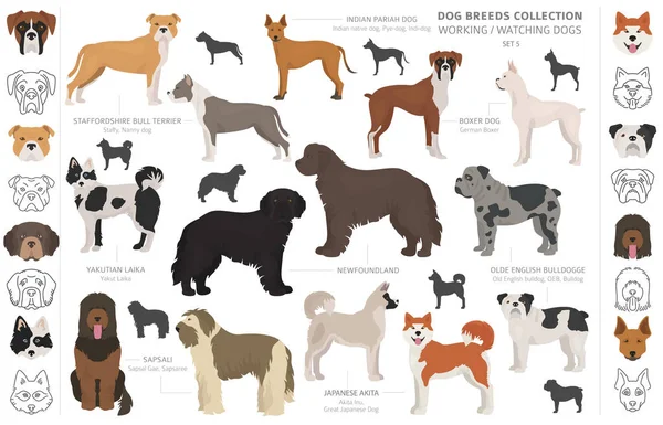 Práce, služby a sledování psů kolekce izolované na bílém. — Stockový vektor