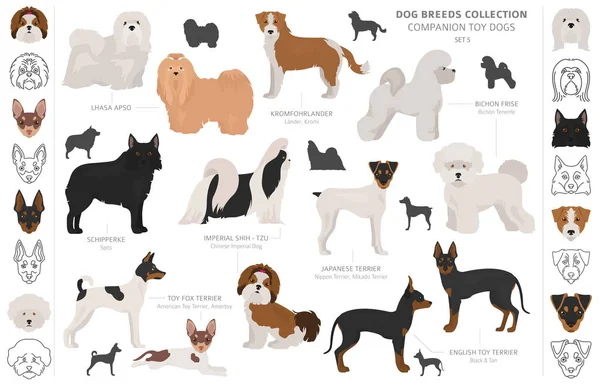 Colección de perros de juguete de compañía y miniatura aislada en blanco. F — Vector de stock