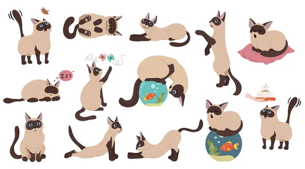 Colección de personajes de dibujos animados gato. Posturas de gato diferentes, yoga a — Vector de stock