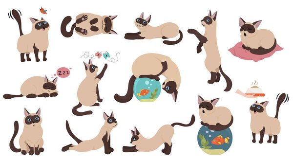 Cartoon cat characters collection. Different cat`s poses, yoga a