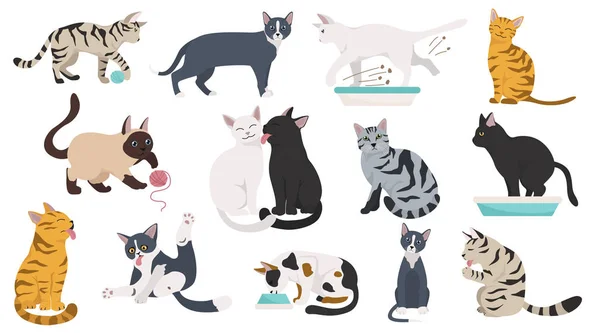 Çizgi film kedi karakterleri koleksiyonu. Farklı kedi pozları, yoga...