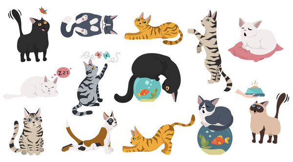 Cartoon cat characters collection. Different cat`s poses, yoga a