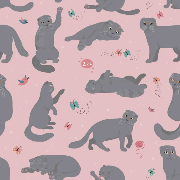 Cartoon-Katzenfiguren nahtloses Muster. Schottische Falten stellen eine — Stockvektor