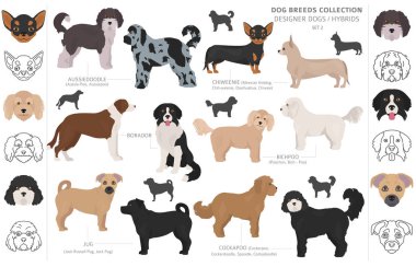 Tasarımcı köpekler, crossbreed, hibrid mix pooches toplama izole