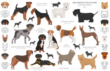 Beyaz klipte izole edilmiş av köpekleri koleksiyonu. Düz stil. D