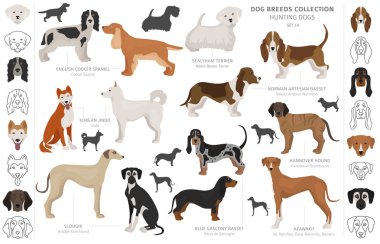 Beyaz klipte izole edilmiş av köpekleri koleksiyonu. Düz stil. D