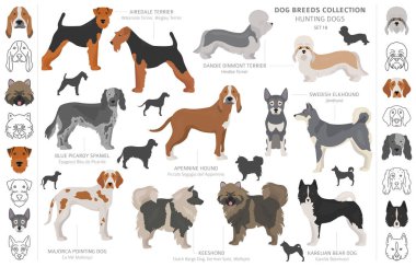 Beyaz klipte izole edilmiş av köpekleri koleksiyonu. Düz stil. D