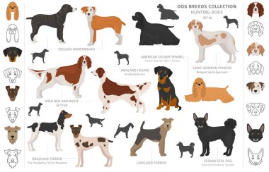 Beyaz klipte izole edilmiş av köpekleri koleksiyonu. Düz stil. D