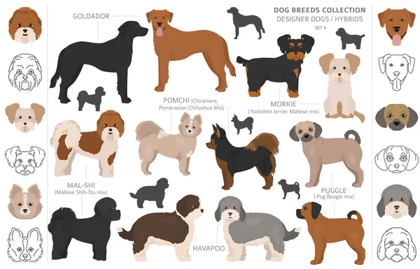 Diseñador perros, mestizo, híbrido mezcla pooches colección aislar — Vector de stock