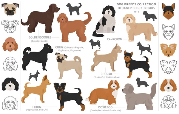 Diseñador perros, mestizo, híbrido mezcla pooches colección aislar — Vector de stock