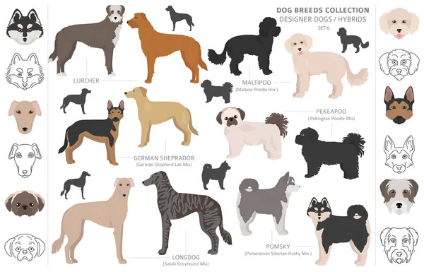 Дизайнерські собаки, схрещені, гібридні мікшерні пухирі колекція ізольовані — стоковий вектор