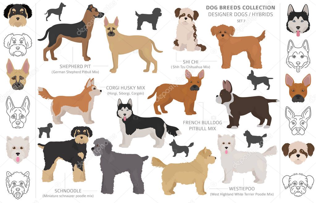 Designer dogs, crossbreed, hybrid mix pooches collection isolate